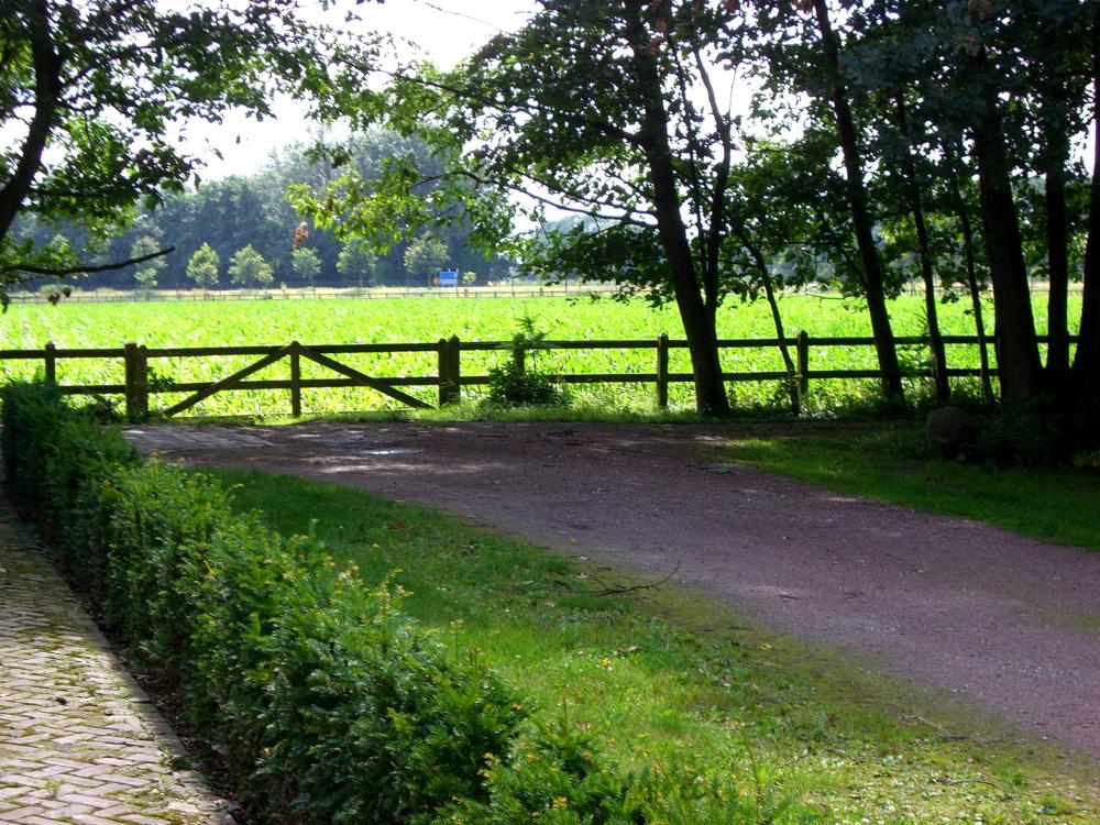 Dikke van Dale Exterieur Omgeving 003