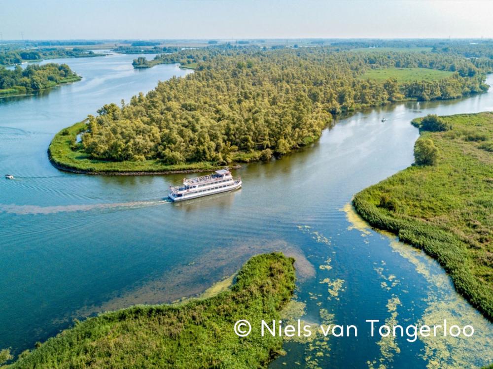 biesbosch arangement made
