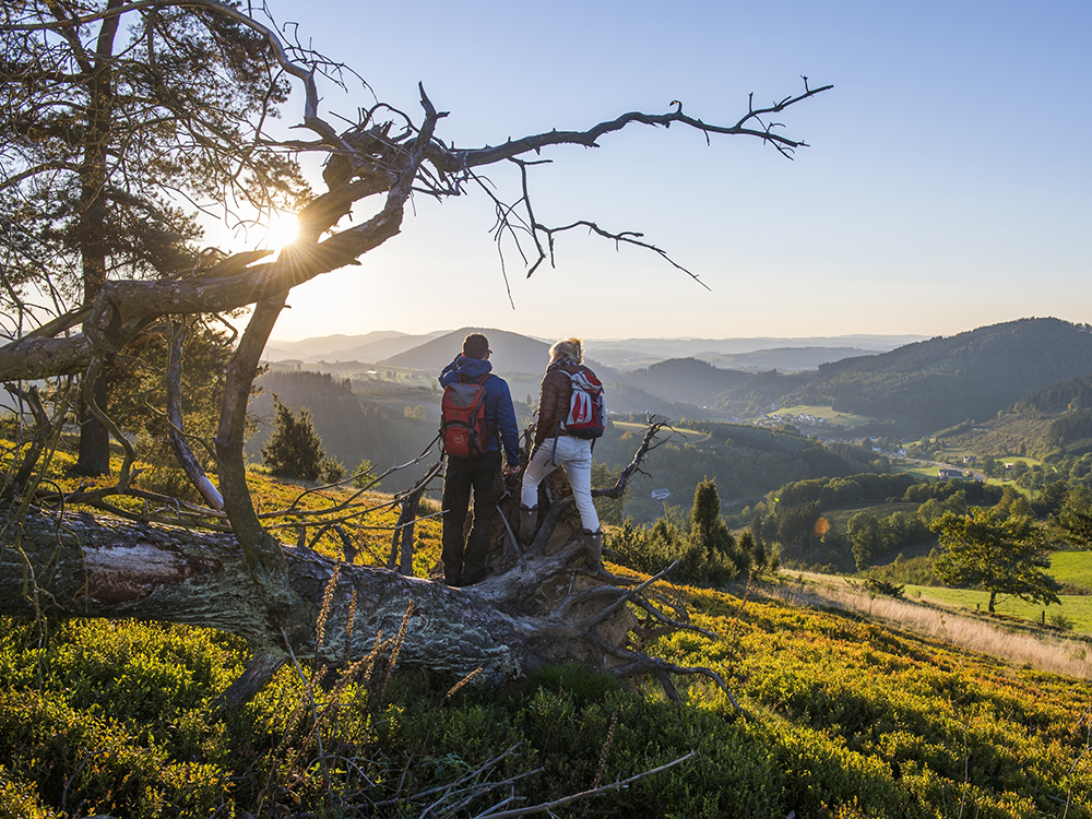 Hotel Jagdhaus Wiese 1000x750