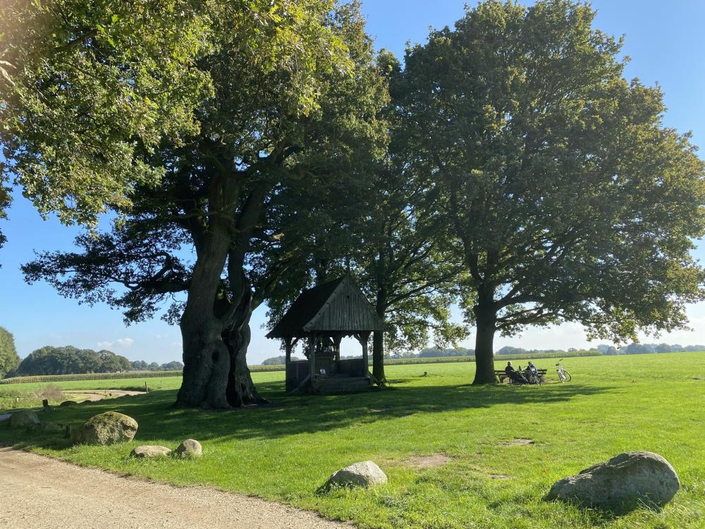 Kroezeoboom in Twente