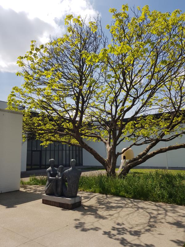 20220518 140335 resized