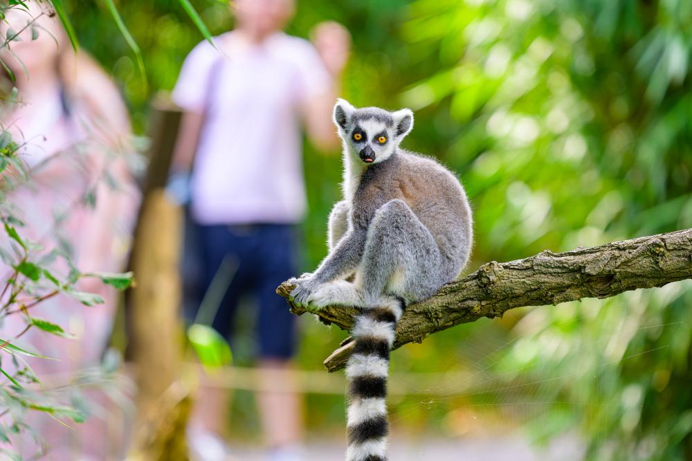 2023 09 16 Katta mit BEsuchern M Appel