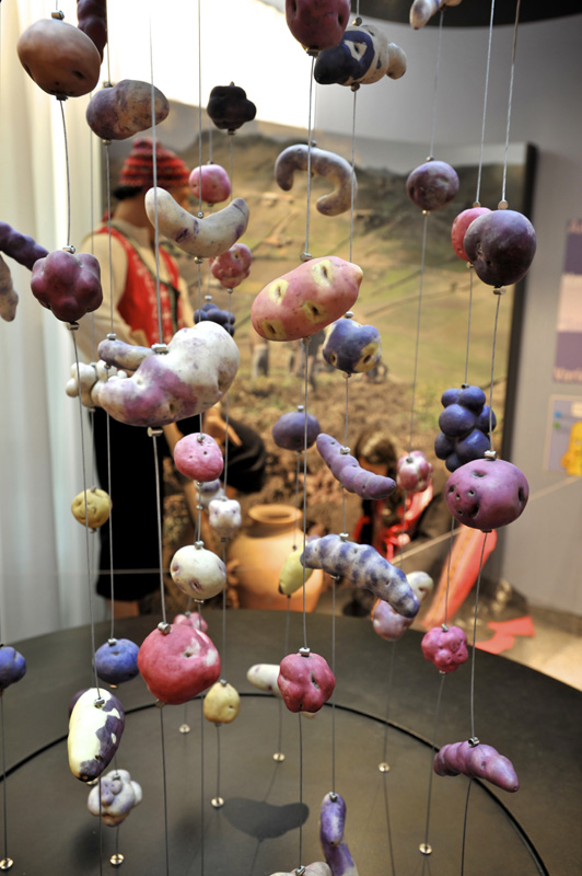 frietmuseum 15 en  2 