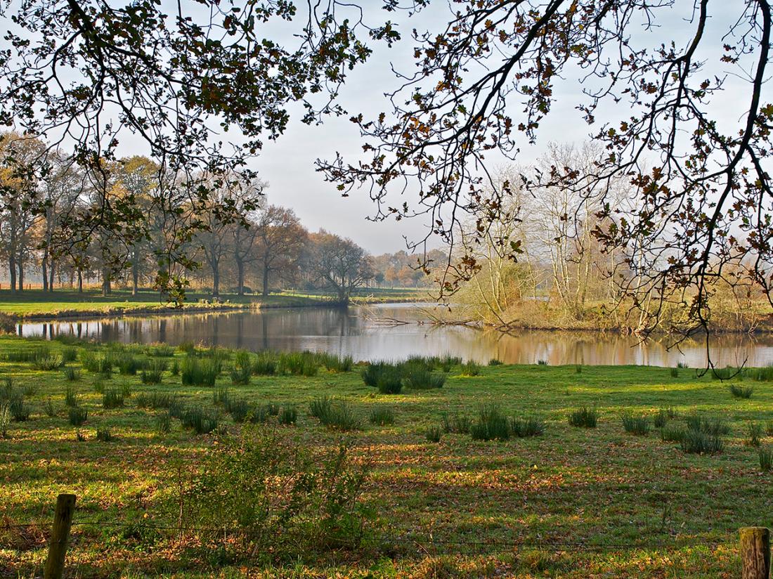 hotelaanbieding de klompt omgeving dalfsen