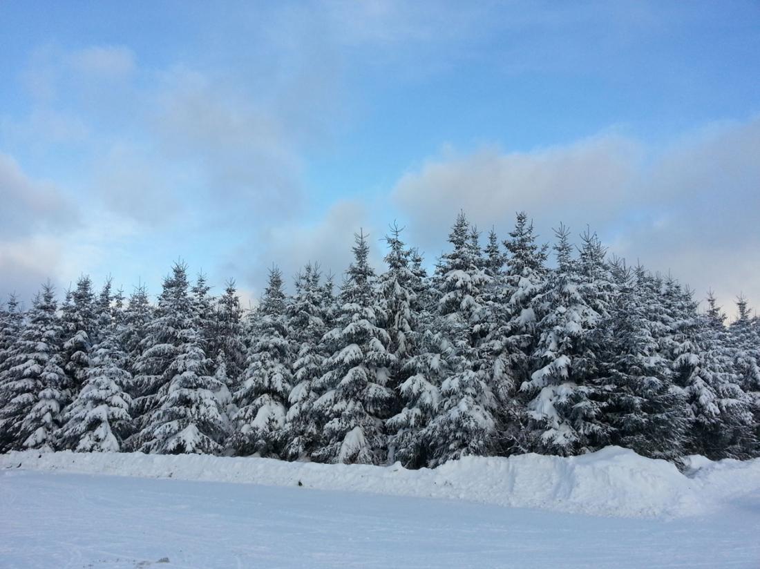 Hotelaanbieding Sundern Omgeving