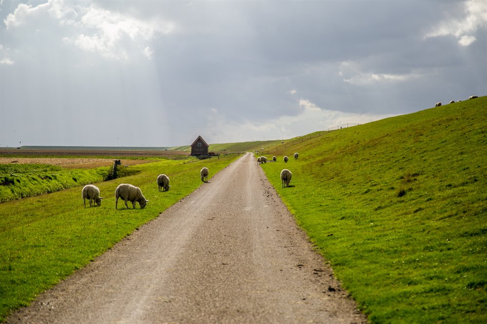 weekendje weg lf kustroute zuid holland fietsvakantie nederlandse kustroute