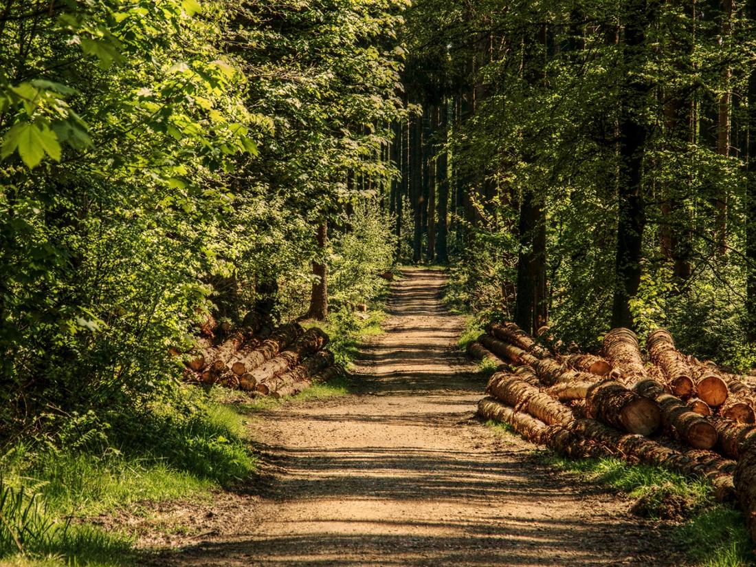 Woudschoten Hotel Zeist Omgeving