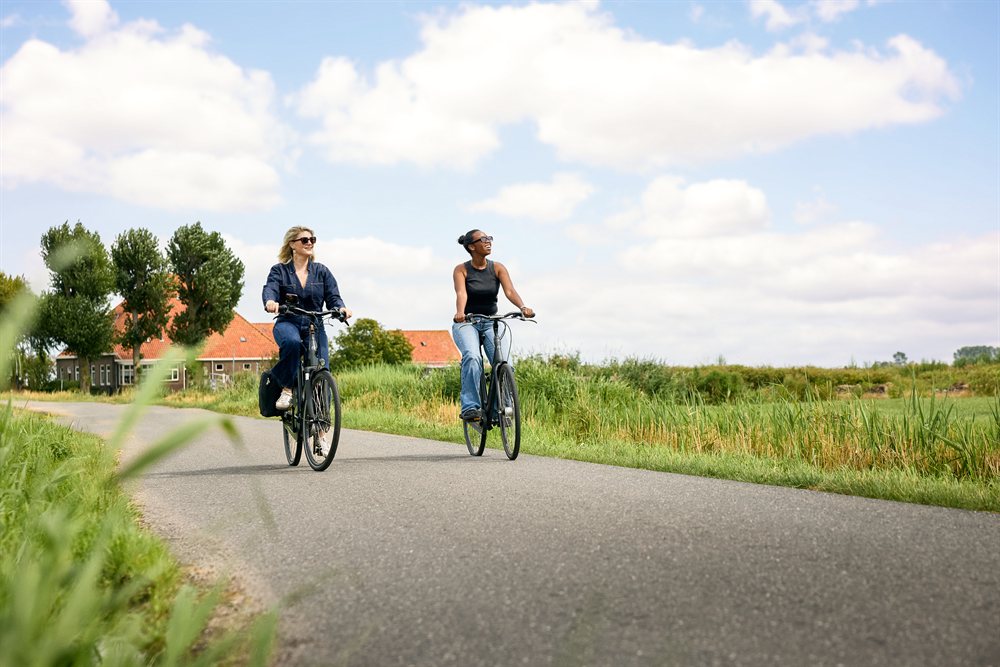 arrangement nederland noord holland