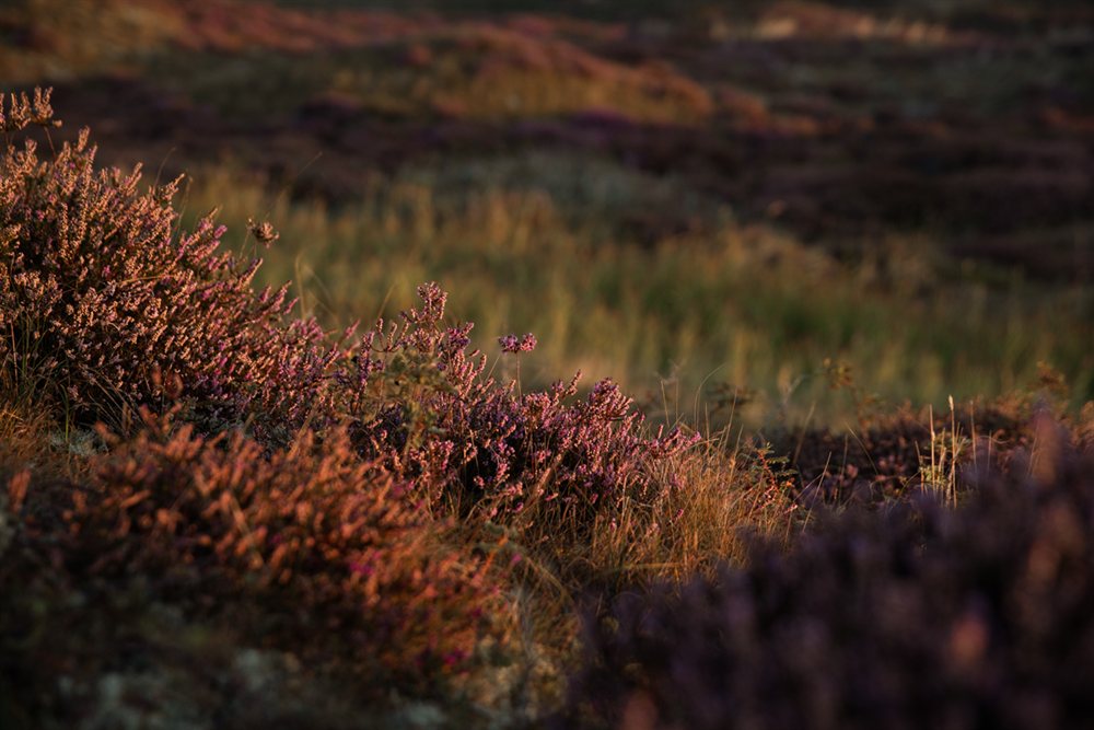 oosterend hotel kortingsactie prins hendrik texel