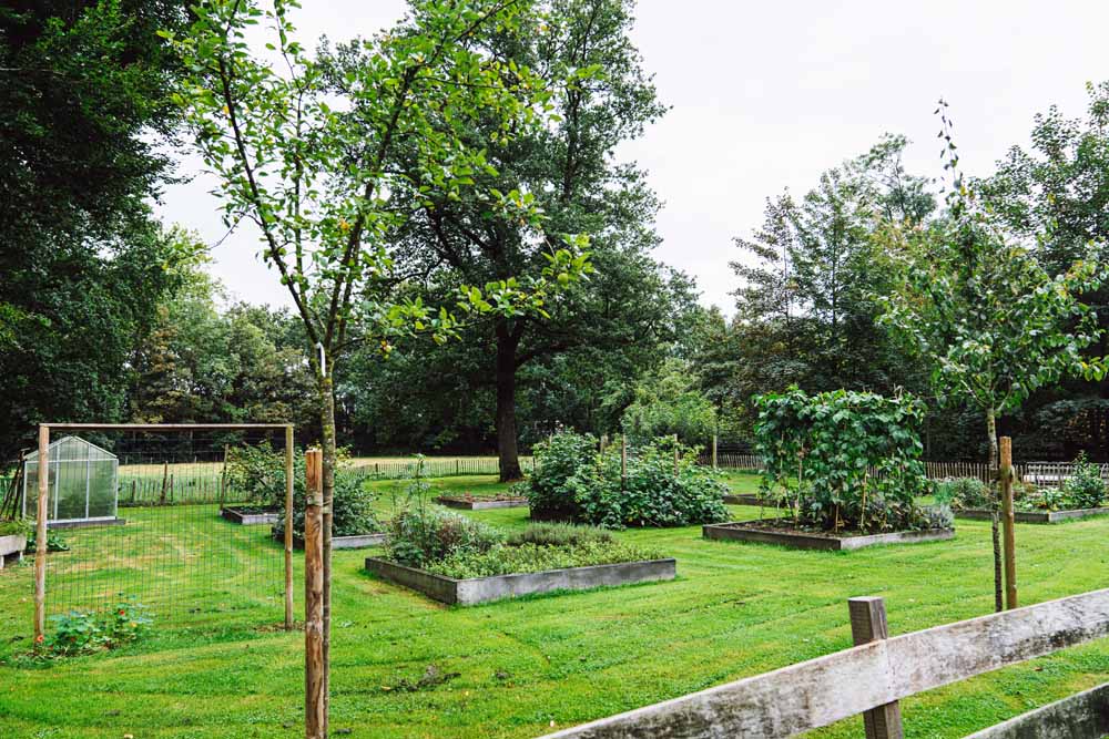 uitzicht hotel wesseling dwingeloo natuurgebied