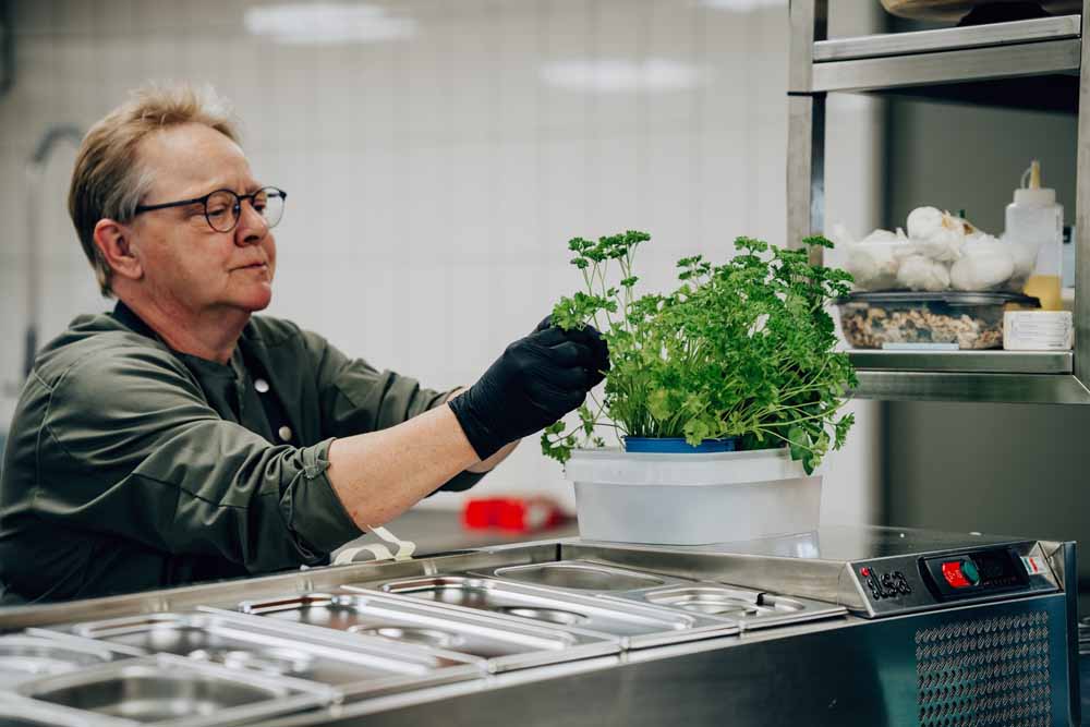 restaurant in drenthe