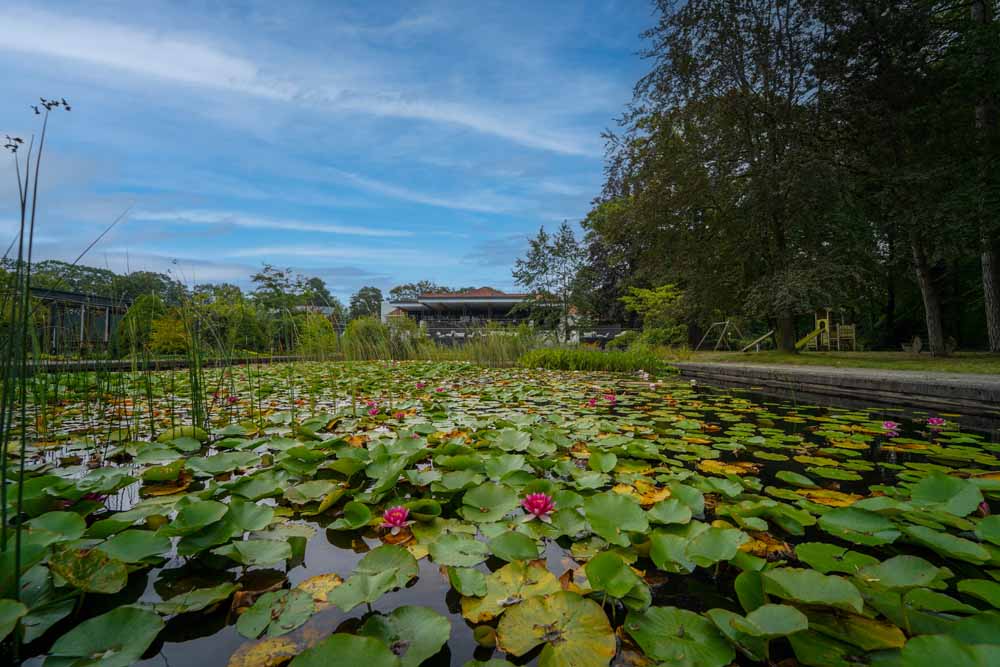 luxe hotelkamer resort bad boekelo aanbieding natuur