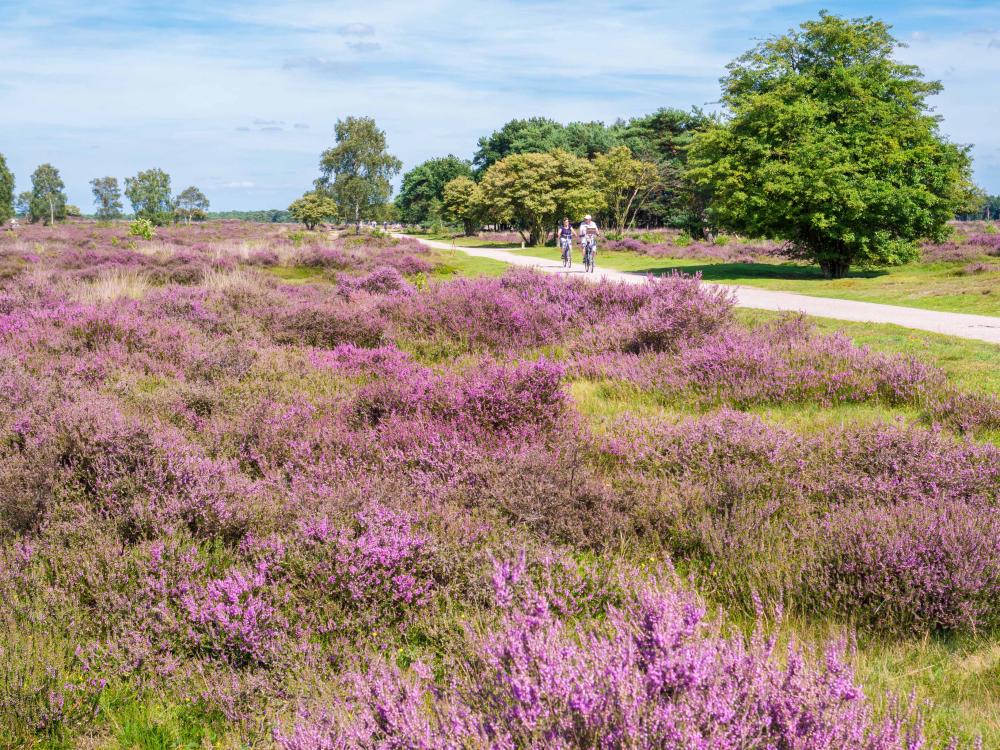 Veluwezoom heide hotel