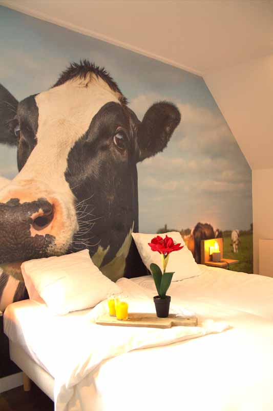 overnachten harteluk joure