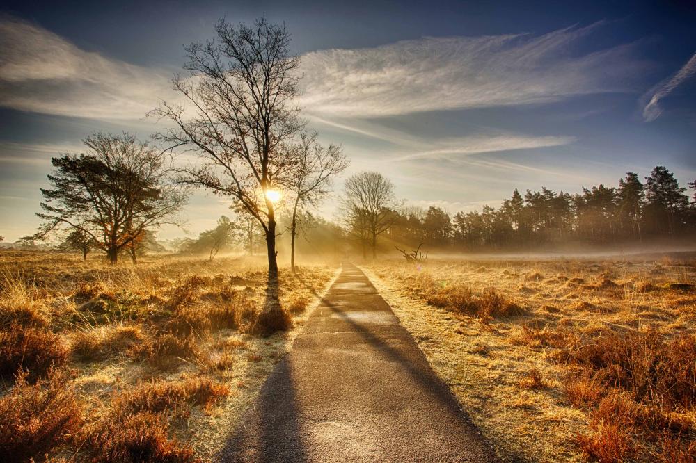 nationaal park hoge veluwe weekendjeweg