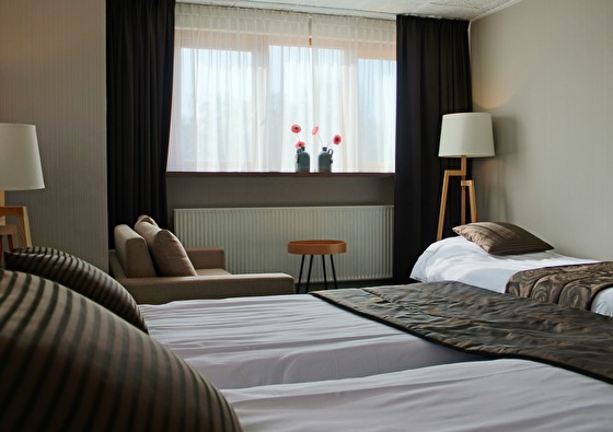 Hotelkamer Roode Leeuw 