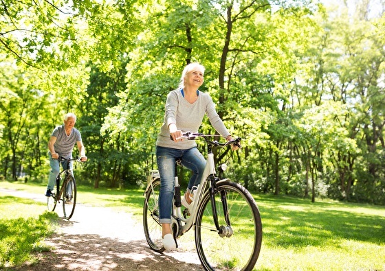 https://www.marrea.nl/upload/heading/fietsvakantie-door-de-kop-van-overijssel-5-daags-2025-560x395.jpg