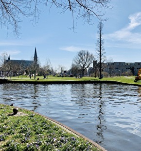 Park in Leiden