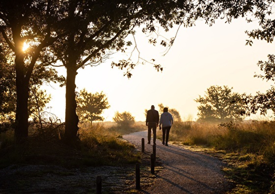 https://www.marrea.nl/upload/heading/hotel-de-roode-schuur-wegdromen-op-de-veluwe-3-daags-2025-560x395.jpg