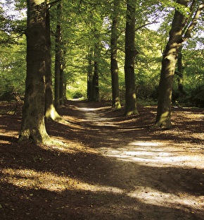 Natuur Hotel Ernst Sillem Hoeve