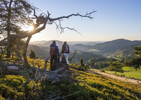 Hotel Jagdhause Wiese | Pure verwennerij in Sauerland 3-daags (2025)