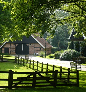 Hotel t Wapen van Ootmarsum | Artistiek en karakteristiek Ootmarsum 4-daags (2025)