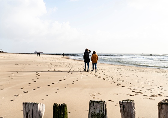 Paal 8 Hotel aan Zee | Voorjaar op Terschelling!