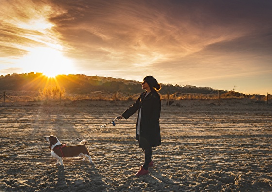 Genieten aan zee Noordwijk